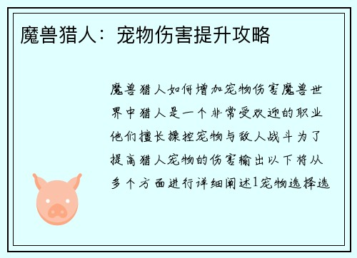 魔兽猎人：宠物伤害提升攻略